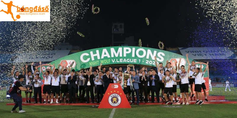 Thể thức thi đấu của V-League