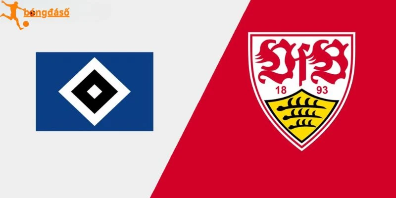 Xem xét kèo hay trận Hamburger SV vs Stuttgart